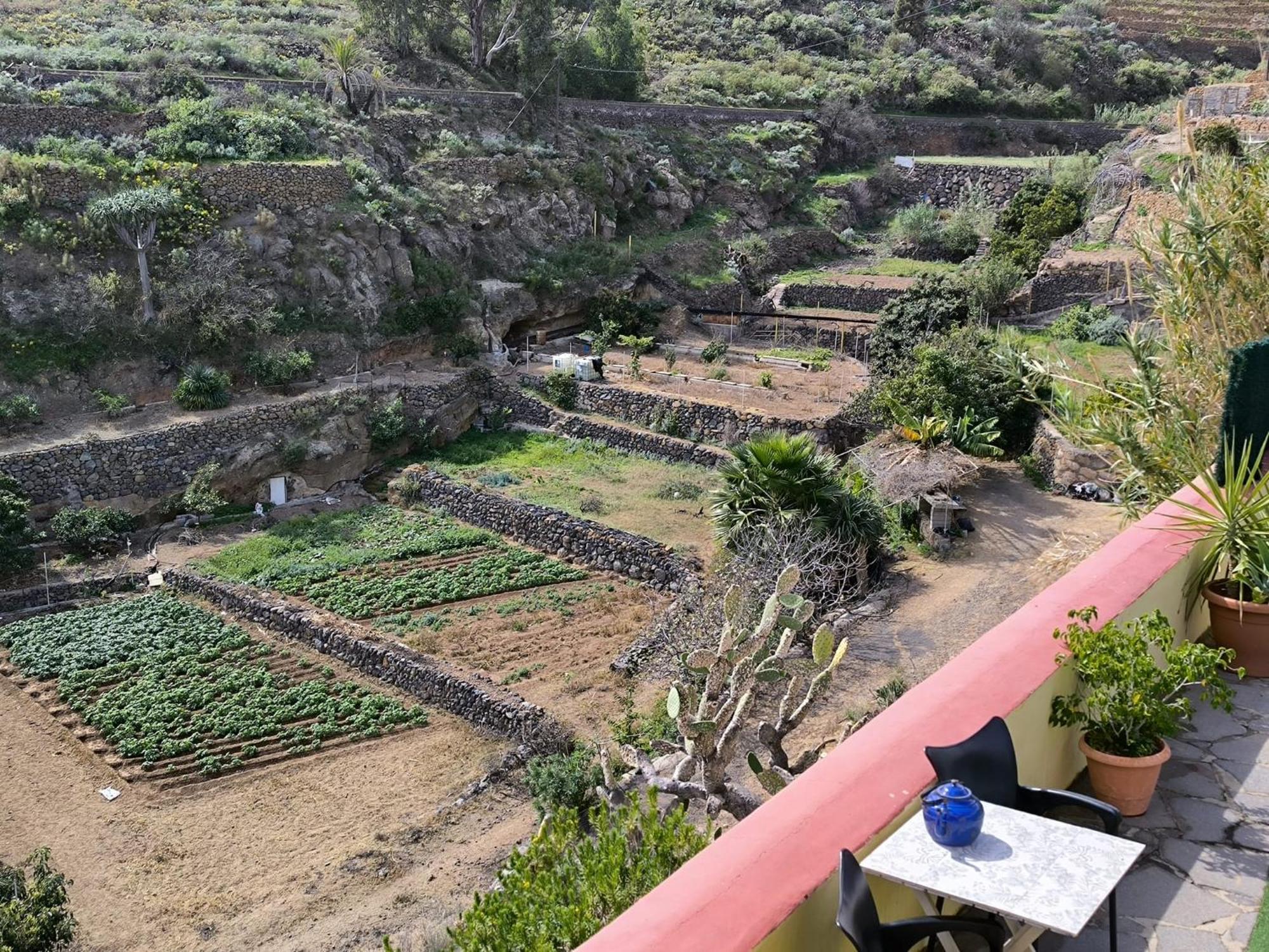 Hotel Rural La Raya 1866 Güimar Εξωτερικό φωτογραφία